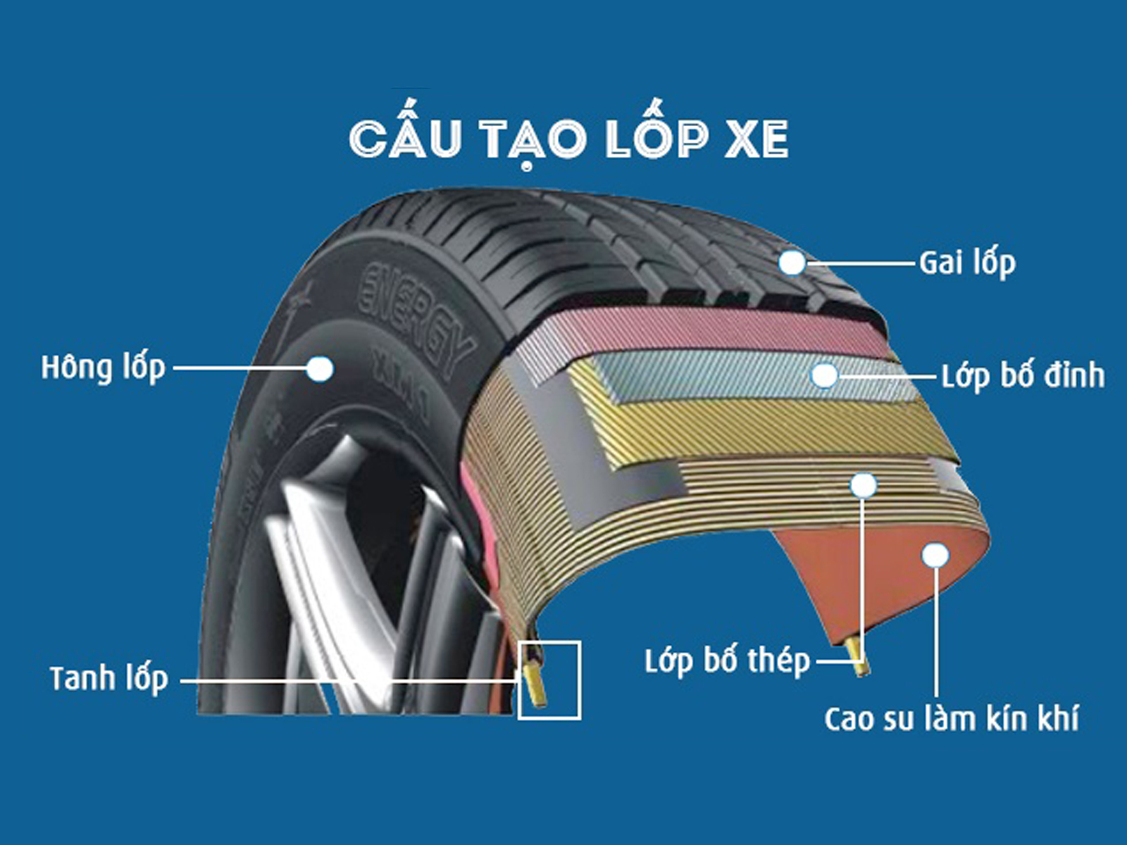 Cấu tạo lốp xe ô tô và những kiến thức cần biết